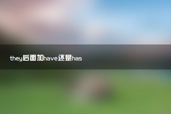 they后面加have还是has