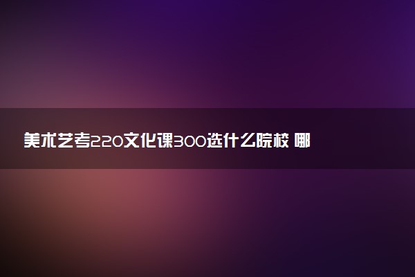 美术艺考220文化课300选什么院校 哪些学校好考
