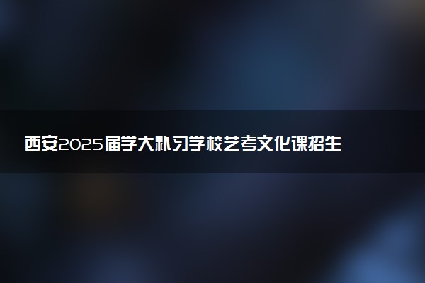 西安2025届学大补习学校艺考文化课招生简章