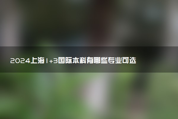 2024上海1+3国际本科有哪些专业可选 读完有什么用