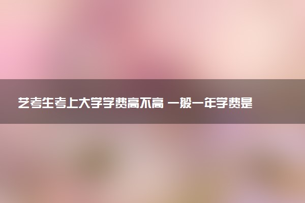 艺考生考上大学学费高不高 一般一年学费是多少