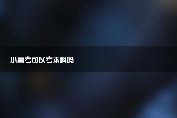 小高考可以考本科吗