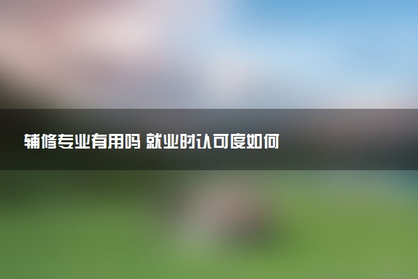 辅修专业有用吗 就业时认可度如何