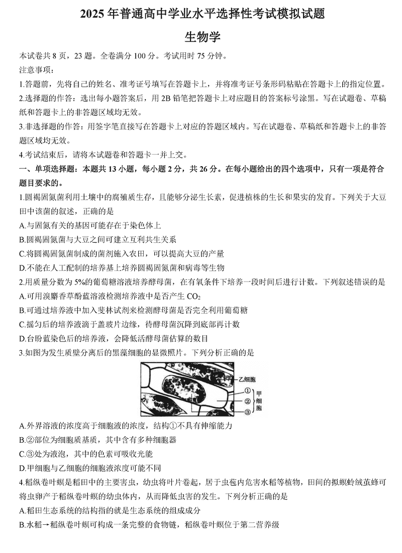 沧州市运东五校2025届高三上学期11月期中生物试题及答案