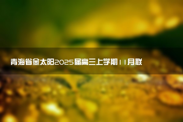 青海省金太阳2025届高三上学期11月联考试题及答案汇总