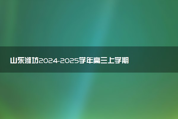 山东潍坊2024-2025学年高三上学期11月期中试题及答案汇总