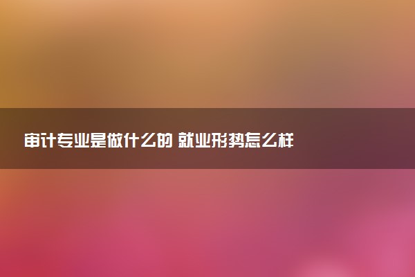 审计专业是做什么的 就业形势怎么样