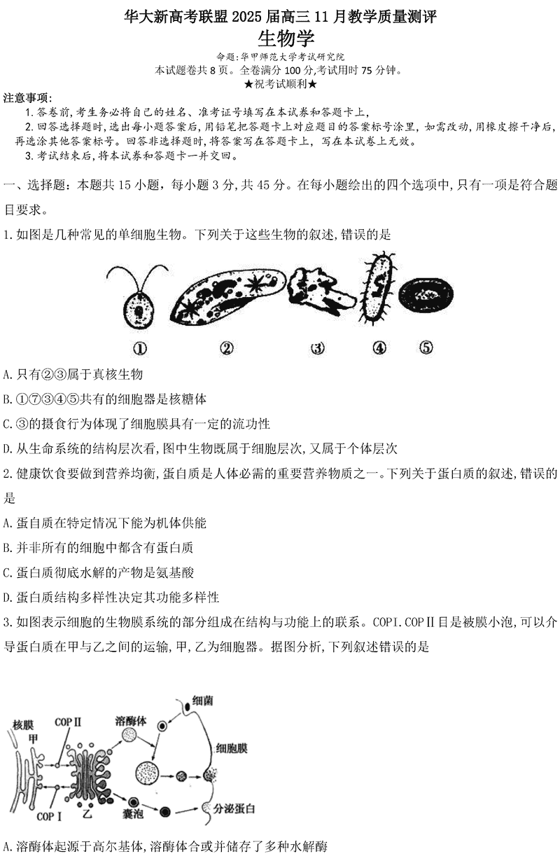 华大新高考联盟2025届高三11月教学质量测评生物试题及答案