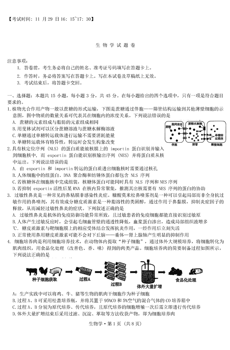 重庆一中2025届高三上学期11月期中生物试题及答案