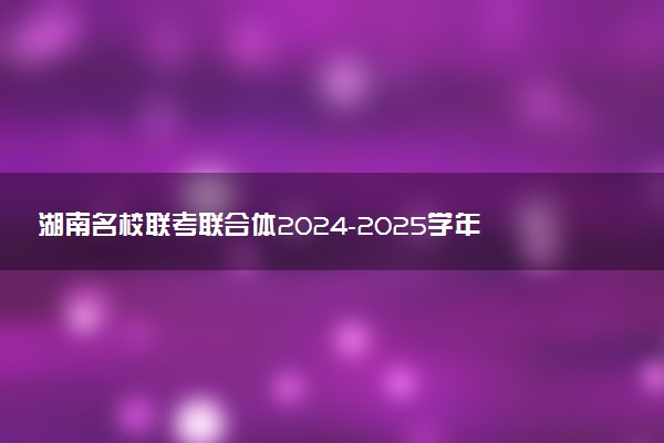 湖南名校联考联合体2024-2025学年高三上学期第四次联考试题及答案汇总