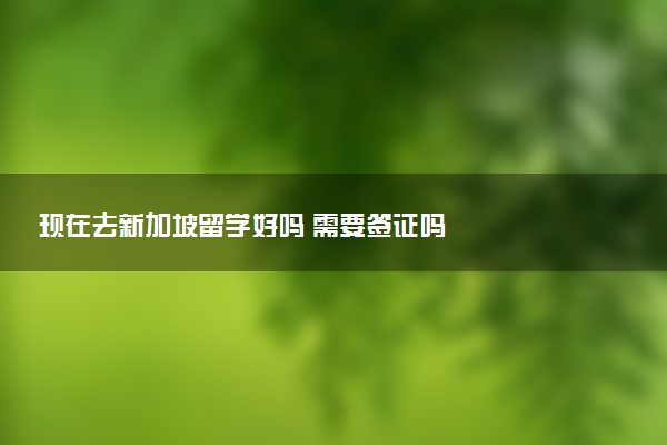 现在去新加坡留学好吗 需要签证吗