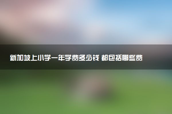 新加坡上小学一年学费多少钱 都包括哪些费用