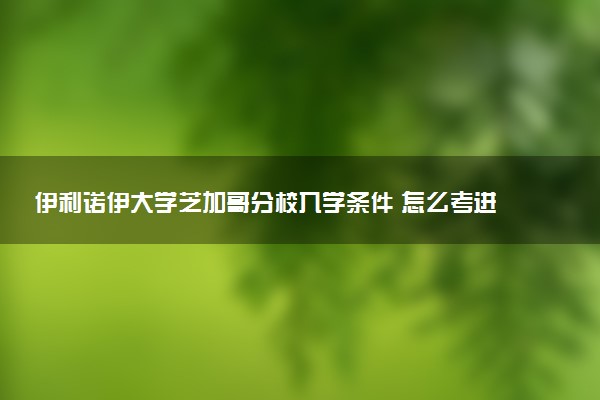 伊利诺伊大学芝加哥分校入学条件 怎么考进去
