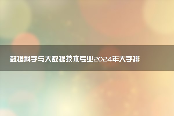 数据科学与大数据技术专业2024年大学排名 最好的大学排行榜