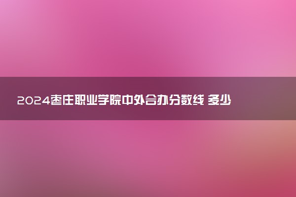 2024枣庄职业学院中外合办分数线 多少分能上