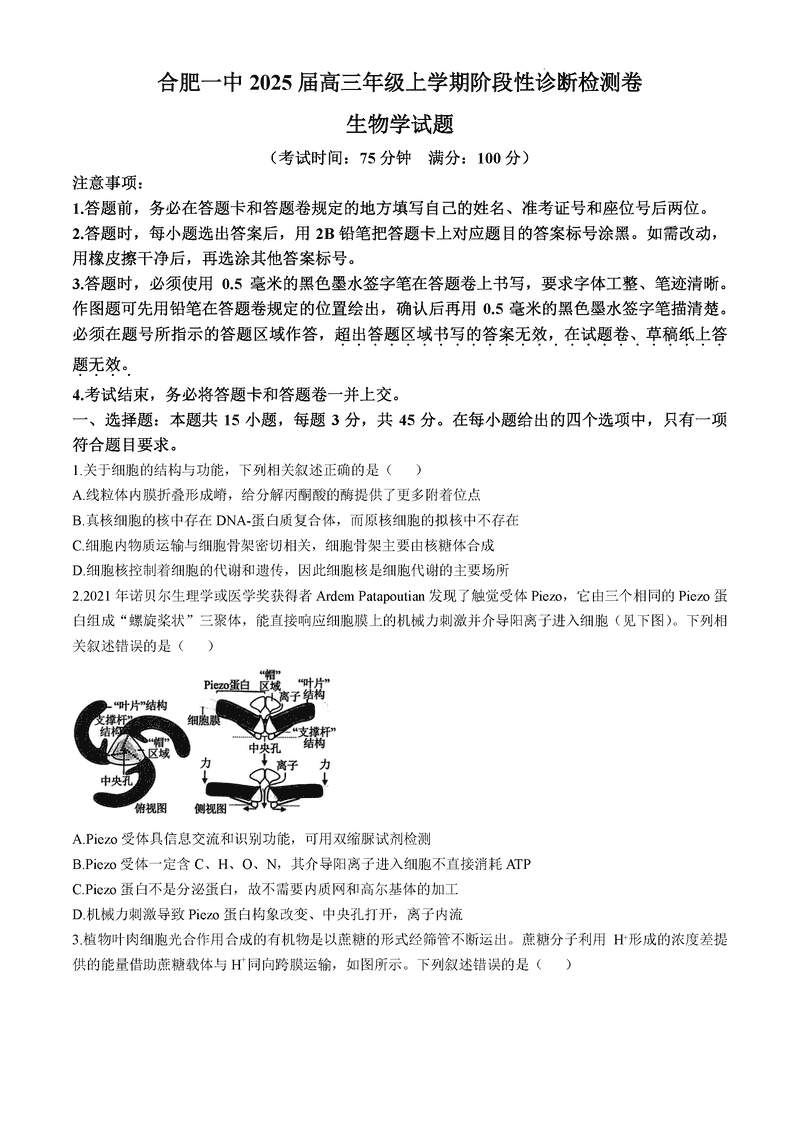 安徽省十联考合肥一中2025届高三上学期阶段性诊断检测生物试题及答案