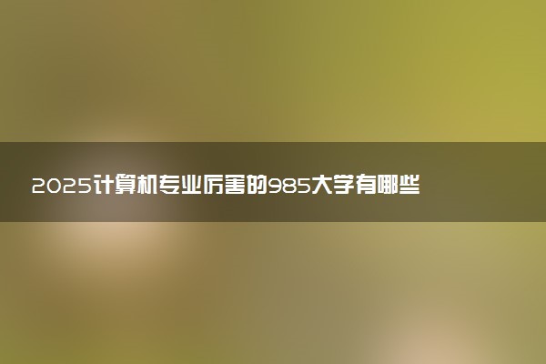2025计算机专业厉害的985大学有哪些 哪些大学开设计算机专业