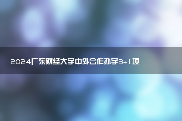 2024广东财经大学中外合作办学3+1项目学费多少钱一年？