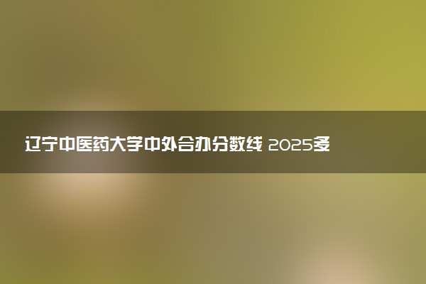 辽宁中医药大学中外合办分数线 2025多少分能录取