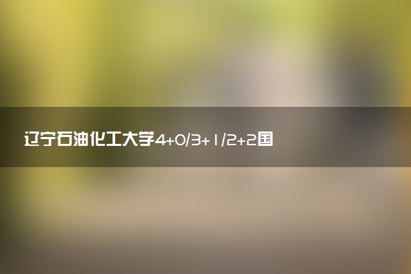 辽宁石油化工大学4+0/3+1/2+2国际本科学费（2025参考）