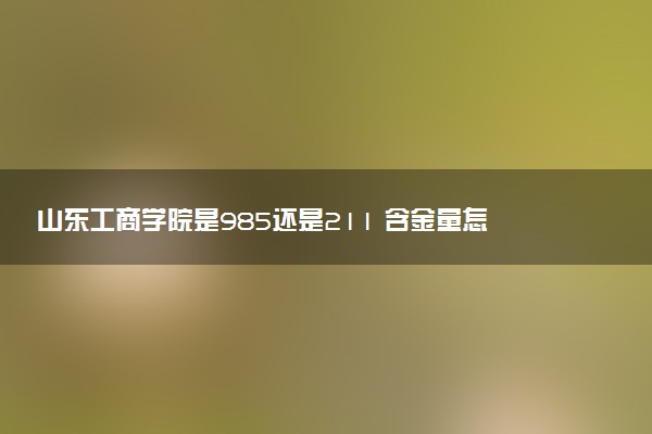 山东工商学院是985还是211 含金量怎么样