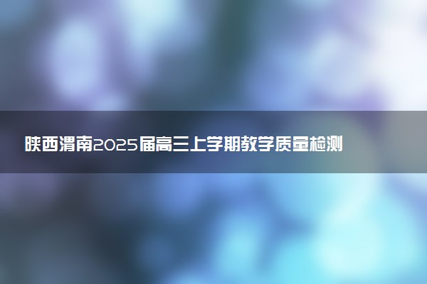 陕西渭南2025届高三上学期教学质量检测Ⅰ试题及答案汇总