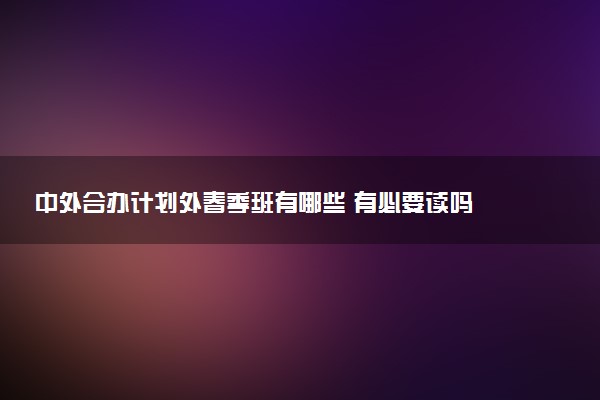 中外合办计划外春季班有哪些 有必要读吗