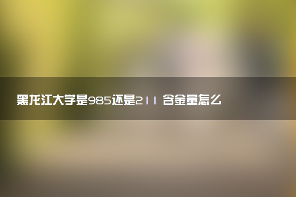 黑龙江大学是985还是211 含金量怎么样