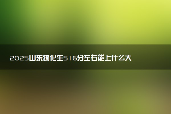 2025山东物化生516分左右能上什么大学 可以报考的院校名单