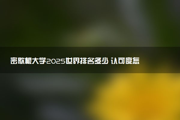 密歇根大学2025世界排名多少 认可度怎么样