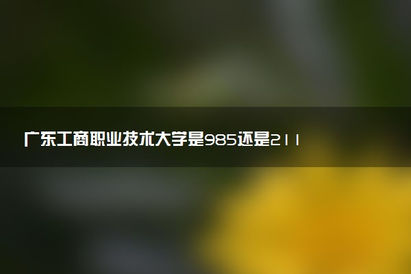 广东工商职业技术大学是985还是211 含金量怎么样