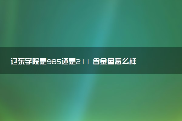 辽东学院是985还是211 含金量怎么样