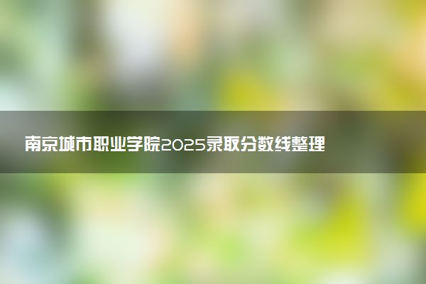 南京城市职业学院2025录取分数线整理 最低多少分可以考上