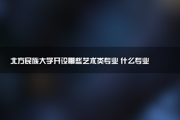 北方民族大学开设哪些艺术类专业 什么专业前景好