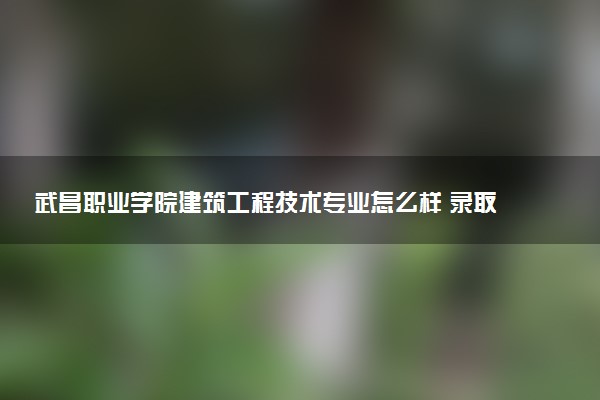 武昌职业学院建筑工程技术专业怎么样 录取分数线多少