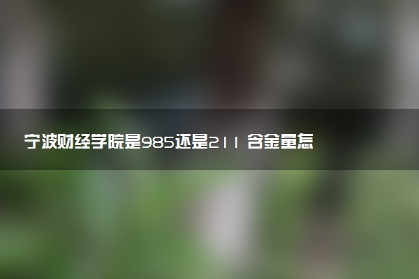 宁波财经学院是985还是211 含金量怎么样