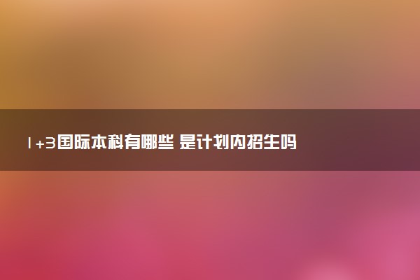 1+3国际本科有哪些 是计划内招生吗
