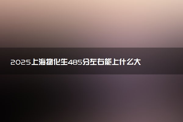 2025上海物化生485分左右能上什么大学 可以报考的院校名单