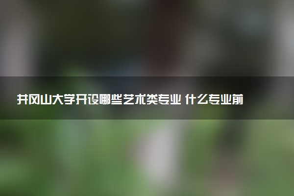 井冈山大学开设哪些艺术类专业 什么专业前景好