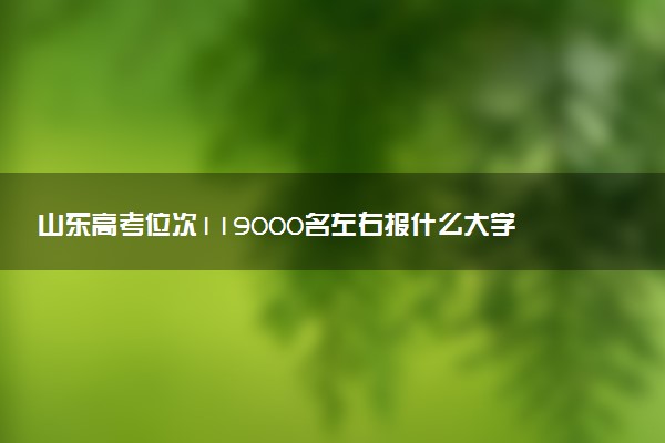 山东高考位次119000名左右报什么大学好（2025年参考）