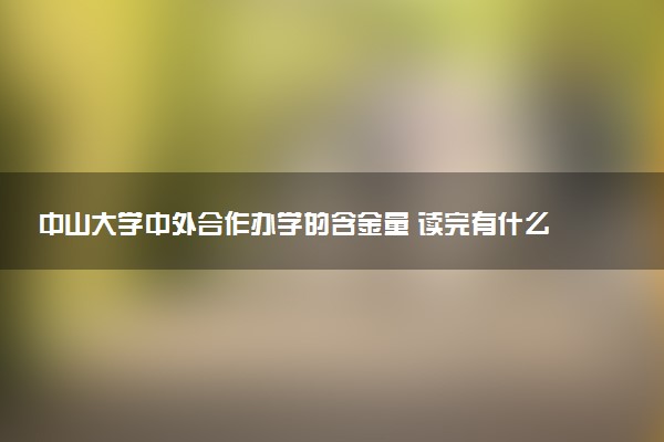 中山大学中外合作办学的含金量 读完有什么用