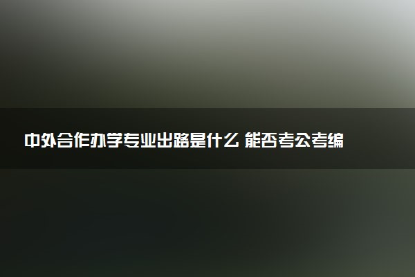中外合作办学专业出路是什么 能否考公考编