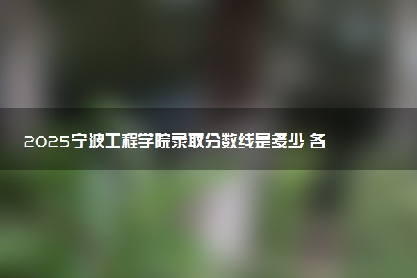 2025宁波工程学院录取分数线是多少 各省最低分数线汇总