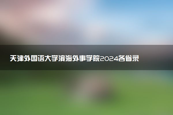 天津外国语大学滨海外事学院2024各省录取分数线及最低位次是多少