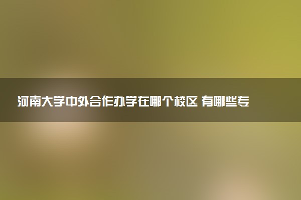 河南大学中外合作办学在哪个校区 有哪些专业