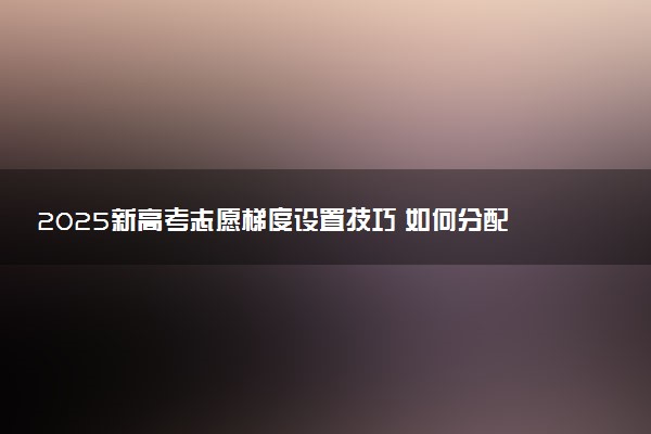 2025新高考志愿梯度设置技巧 如何分配
