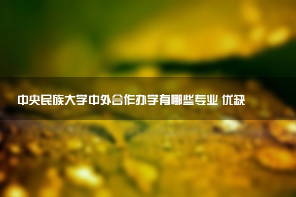 中央民族大学中外合作办学有哪些专业 优缺点是什么