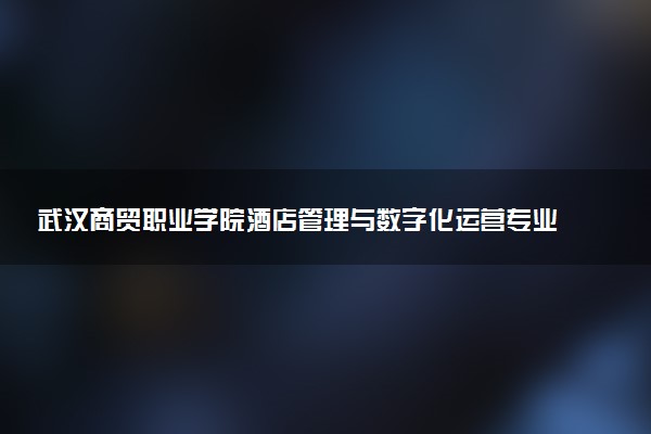 武汉商贸职业学院酒店管理与数字化运营专业怎么样 录取分数线多少