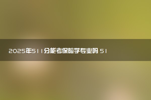 2025年511分能考保险学专业吗 511分保险学专业大学推荐