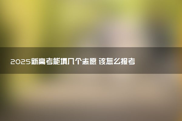 2025新高考能填几个志愿 该怎么报考
